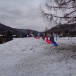 phoca_thumb_m_bobovn 29.1.18  15 Fotogalerie
